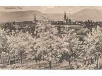 Old postcard - Palatinate, Edenkoben