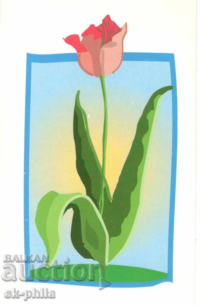 Old card - Greeting card - Tulip