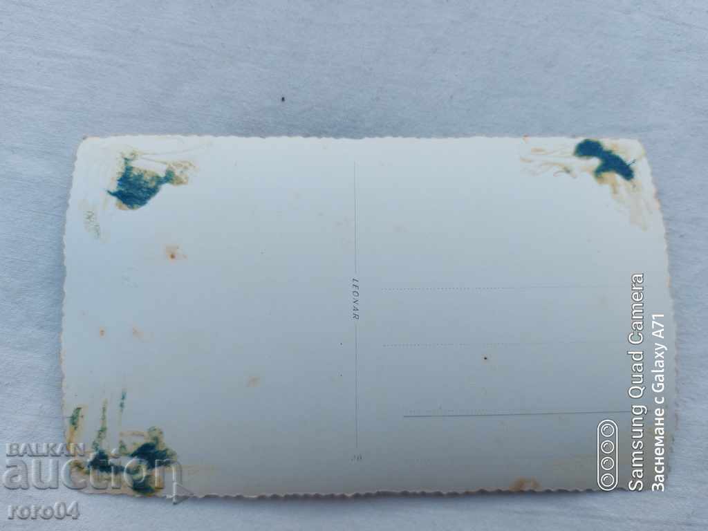 BREGOVO - WEDDING - OFFICERS - 1937 - 7