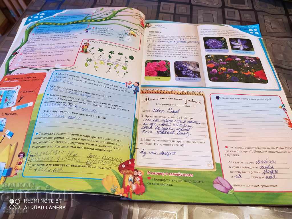 Auction  The big vacation