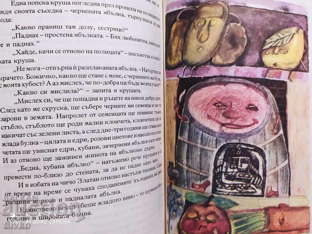 House cricket Dimitar Panteleev many illustrations - 5