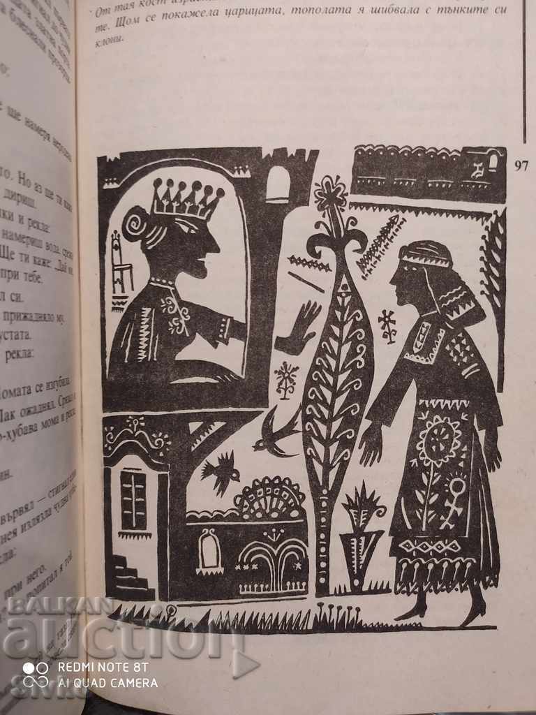 Delivery of Baby Rooster Ran Bosilek Illustrations Delivery of Baby Rooster Ran Bosilek Illustrations