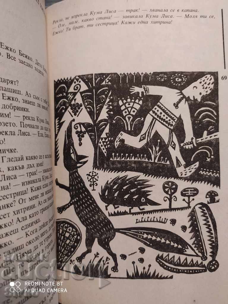 Baby Rooster Ran Bosilek Illustrations - 7 Baby Rooster Ran Bosilek Illustrations - 7