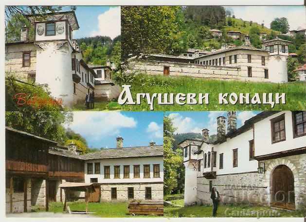 Card Bulgaria Mogilitsa Agushevi konatsi *
