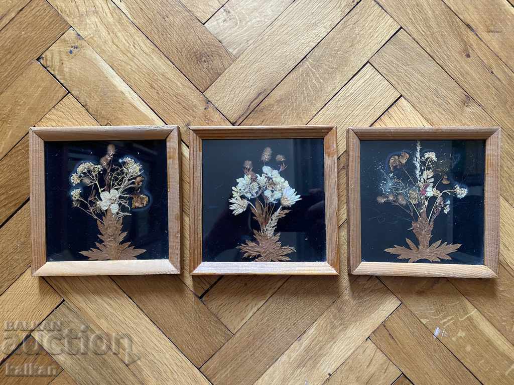 Decorative panels with dried flowers