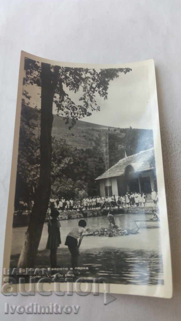 Пощенска картичка Котел Езерото в парка 1959