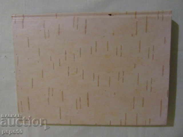 Delivery of EMBRACEING RUSSIA WITH HEART - poetry - 2004 Delivery of EMBRACEING RUSSIA WITH HEART - poetry - 2004