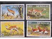 Senegal - WWF, Gazelle
