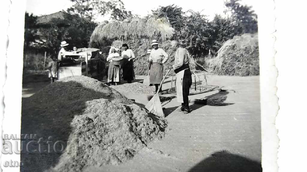 Licitație FOTO REALĂ - ventilator, îndepărtând pleava din bob Licitație FOTO REALĂ - ventilator, îndepărtând pleava din bob