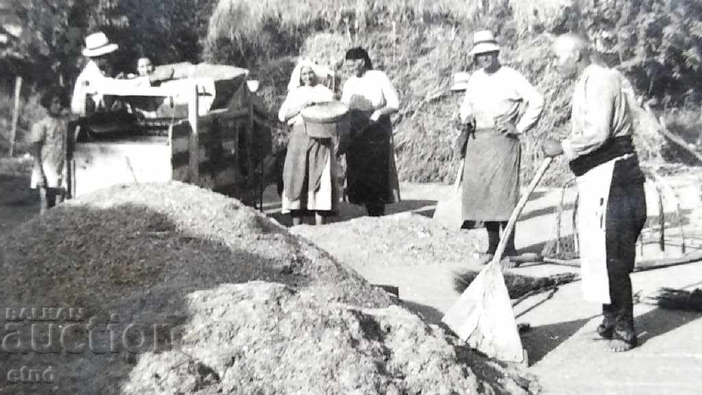Livrarea FOTO REALĂ - ventilator, îndepărtând pleava din bob Livrarea FOTO REALĂ - ventilator, îndepărtând pleava din bob
