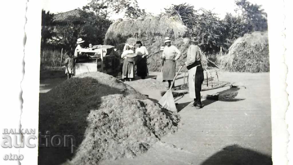 FOTO REALĂ - ventilator, îndepărtând pleava din bob - 5 FOTO REALĂ - ventilator, îndepărtând pleava din bob - 5