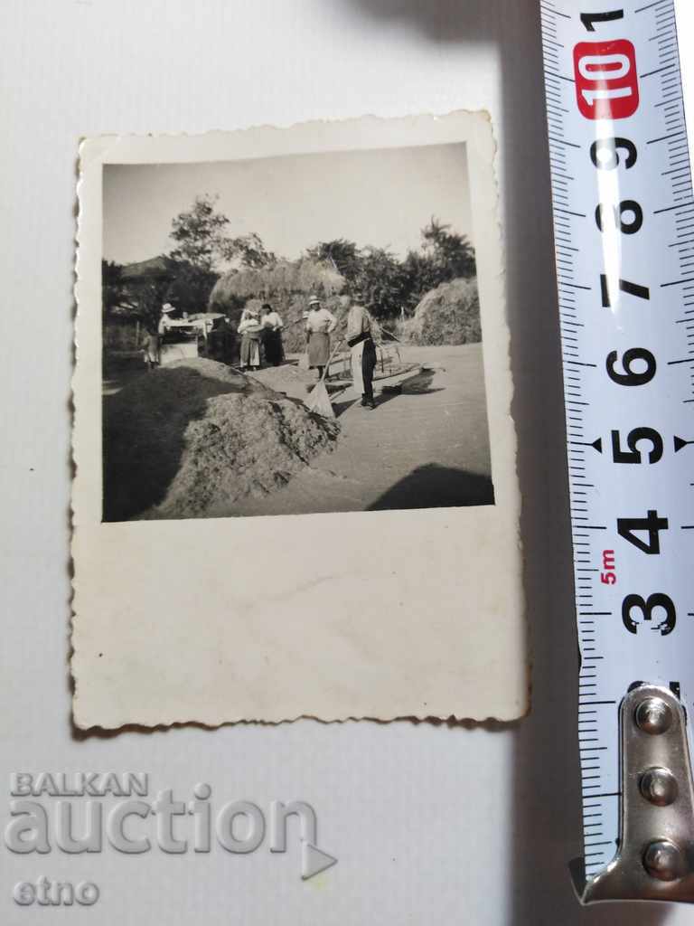 FOTO REALĂ - ventilator, îndepărtând pleava din bob - 7 FOTO REALĂ - ventilator, îndepărtând pleava din bob - 7