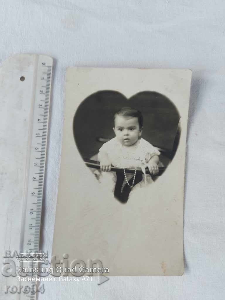 DAISY with price 8.99 BGN | € 4.60