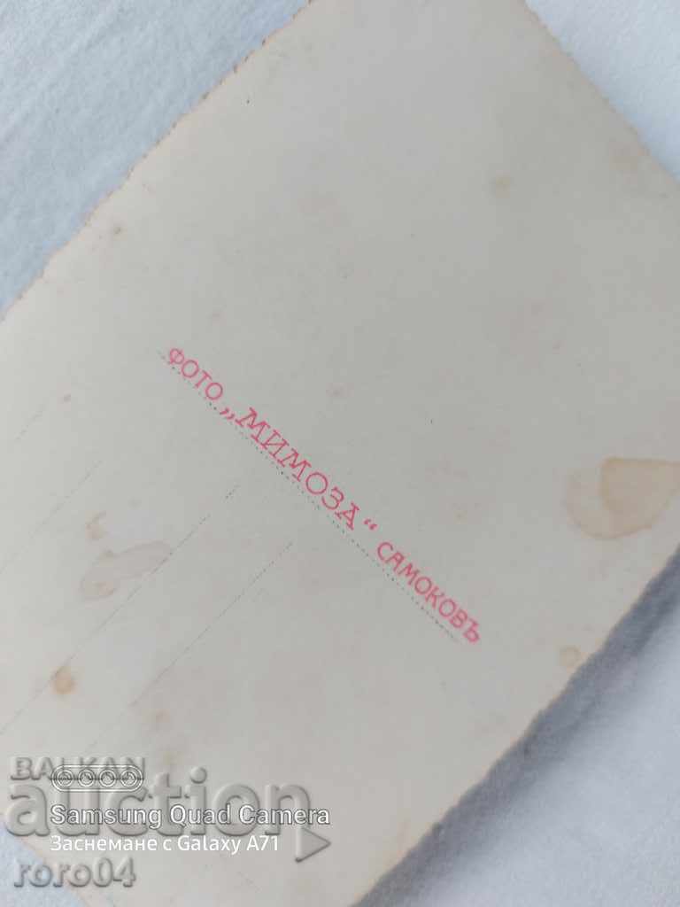 SAMOKOV PEDAGOGICAL SCHOOL - 7 SAMOKOV PEDAGOGICAL SCHOOL - 7