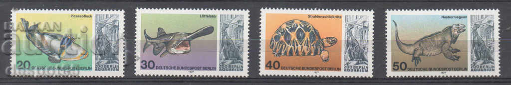 1977. Βερολίνο. Ζωολογικός κήπος του Βερολίνου - Iguanodon.