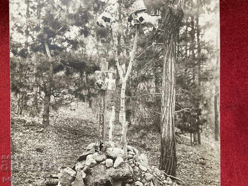 Delivery of Old Curse 1917 "Cursed be ..." Delivery of Old Curse 1917 "Cursed be ..."