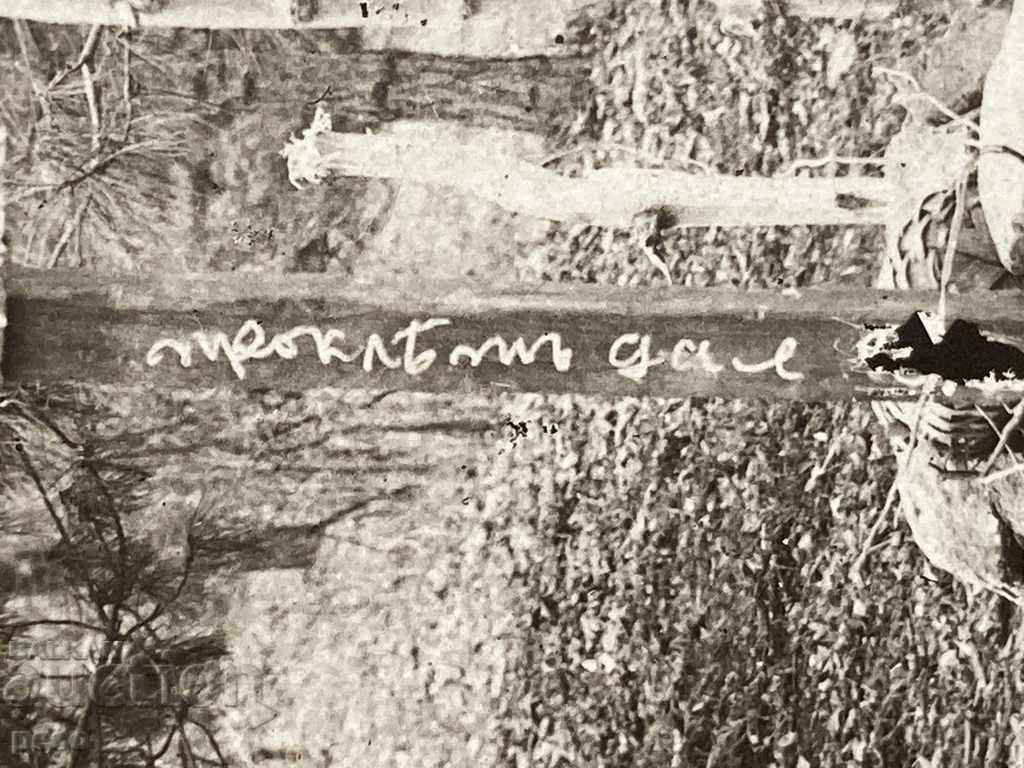 Old Curse 1917 "Cursed be ..." - 6 Old Curse 1917 "Cursed be ..." - 6