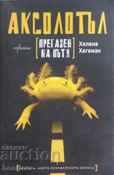 Axolotl έπεσε στο δρόμο - Helene Hegeman