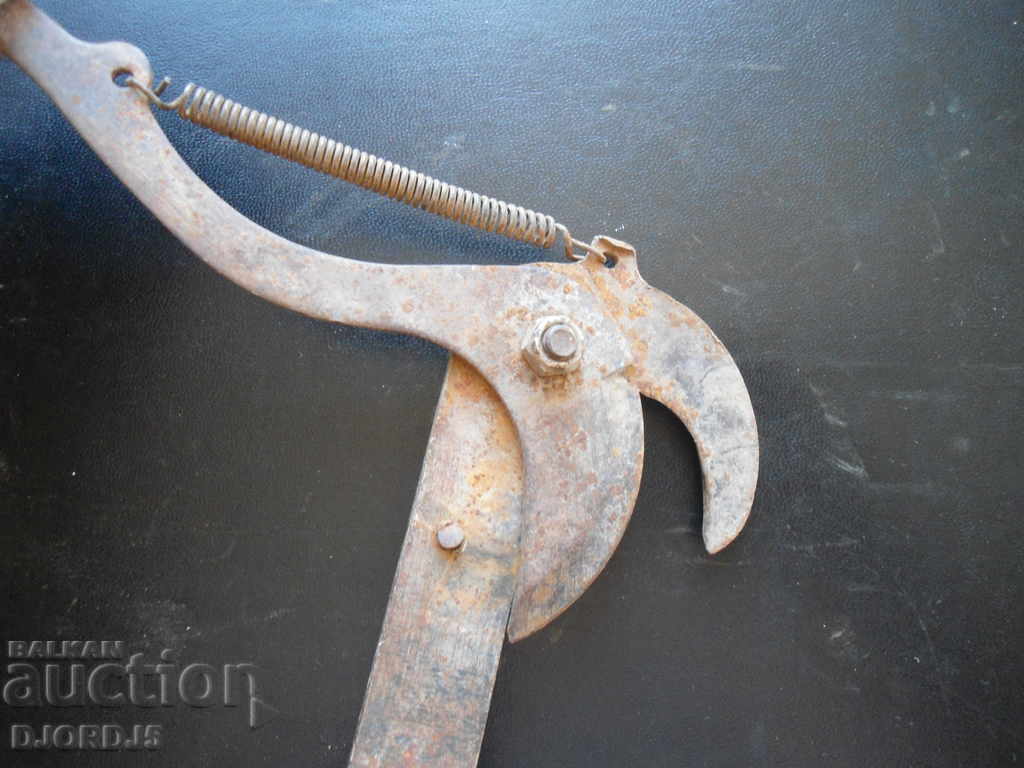 Παλιά ψαλίδια κλαδέματος. - 6 Παλιά ψαλίδια κλαδέματος. - 6