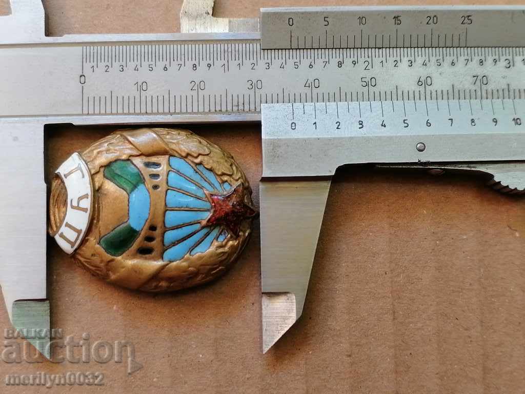 Auction  Early Socialist Enamel Cockade