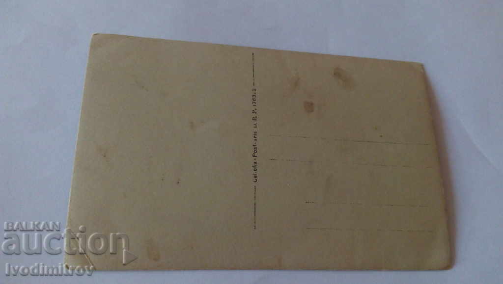 Photo Men and women under the tree in the yard with price 3.45 BGN | € 1.76 Photo Men and women under the tree in the yard with price 3.45 BGN | € 1.76