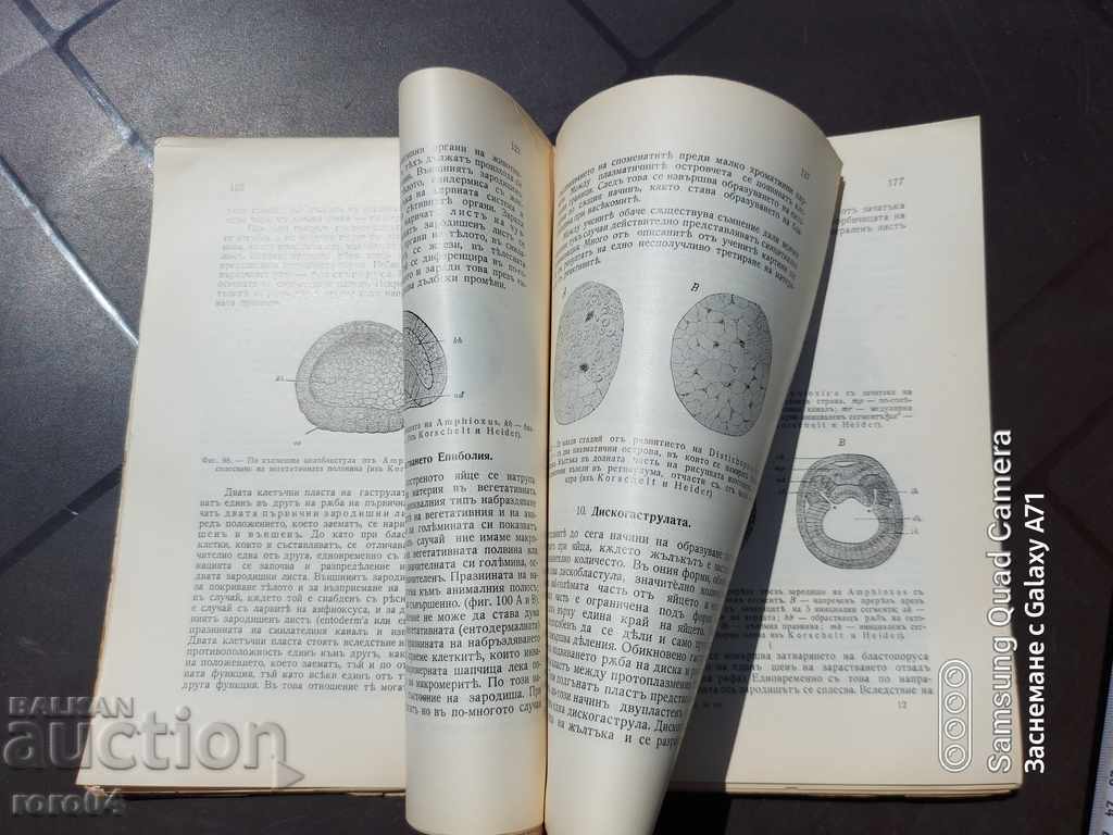 GENERAL COMPARATIVE EMBRYOLOGY - T. MOROV - 6