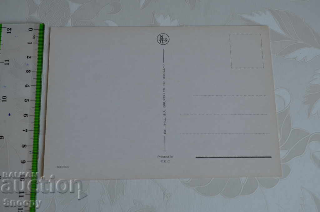 Auction Postcard: Brussels - national team Auction Postcard: Brussels - national team