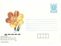 Envelope - Flowers - Clivia