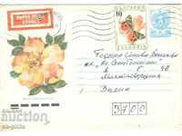 Envelope - Flowers - Yellow Rose