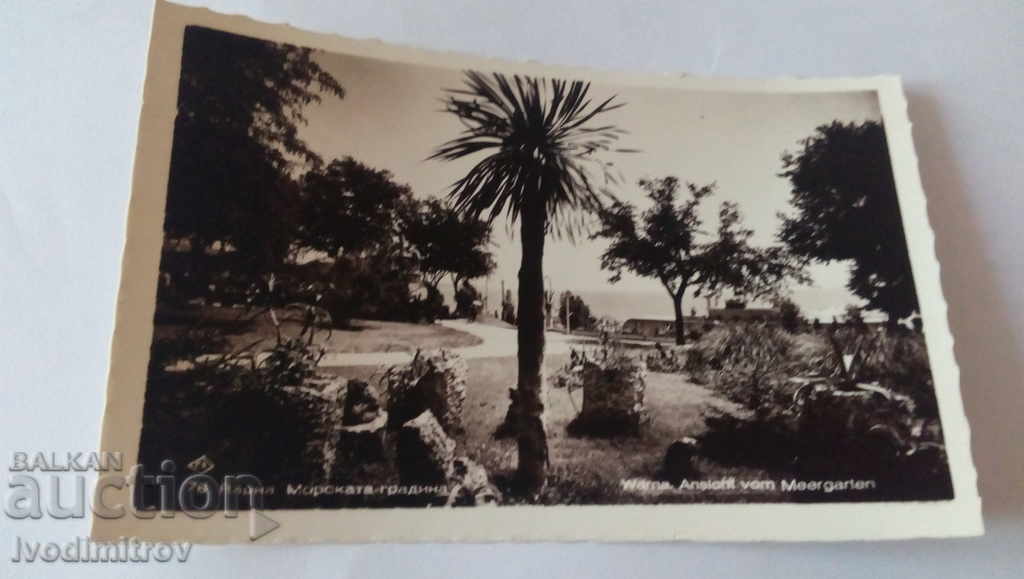 Пощенска картичка Варна Морската градина Гр. Пасконъ 1935