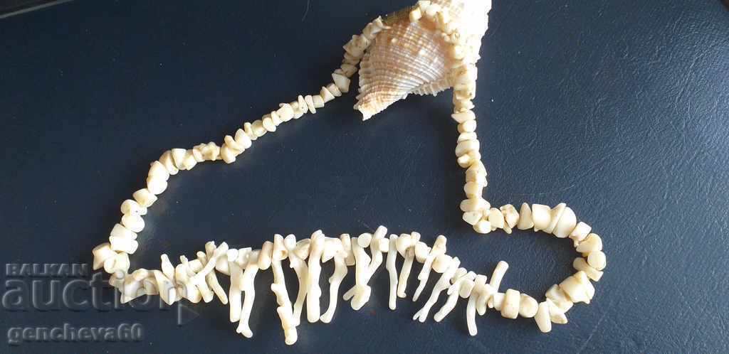Real White Coral Jewelry Necklace with price 80.00 BGN | € 40.90 Real White Coral Jewelry Necklace with price 80.00 BGN | € 40.90