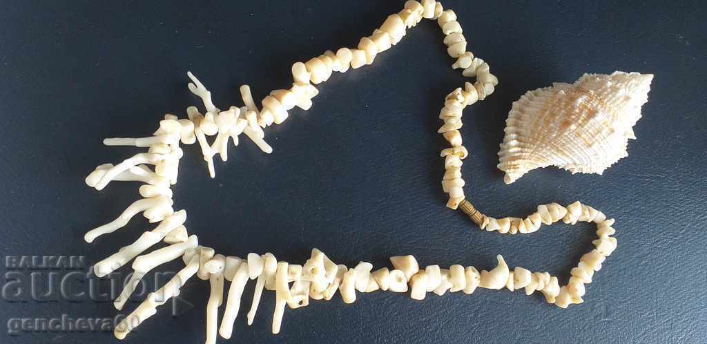 Livrarea Colier cu bijuterii din coral alb real