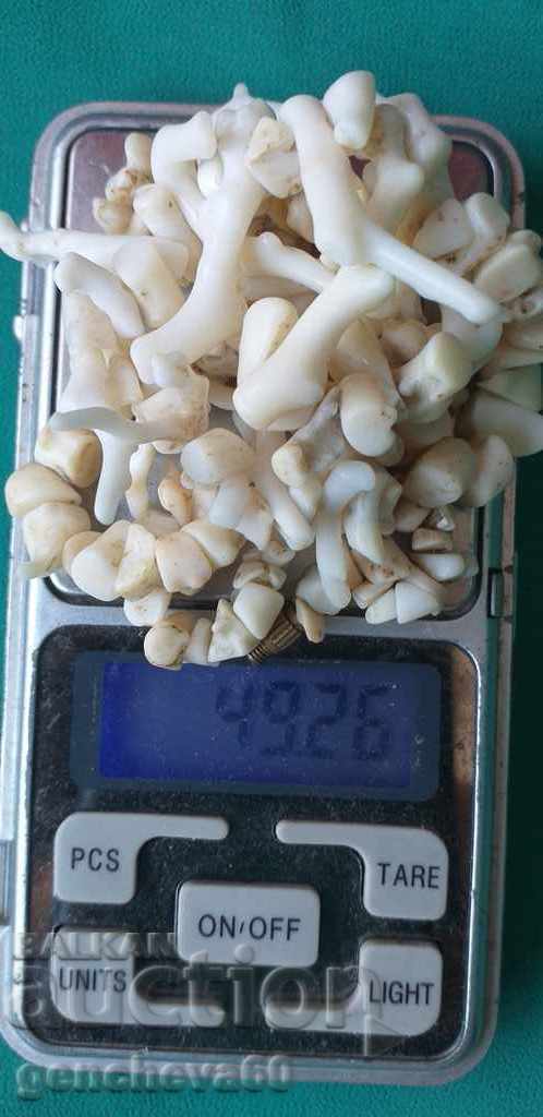 Colier cu bijuterii din coral alb real - 6