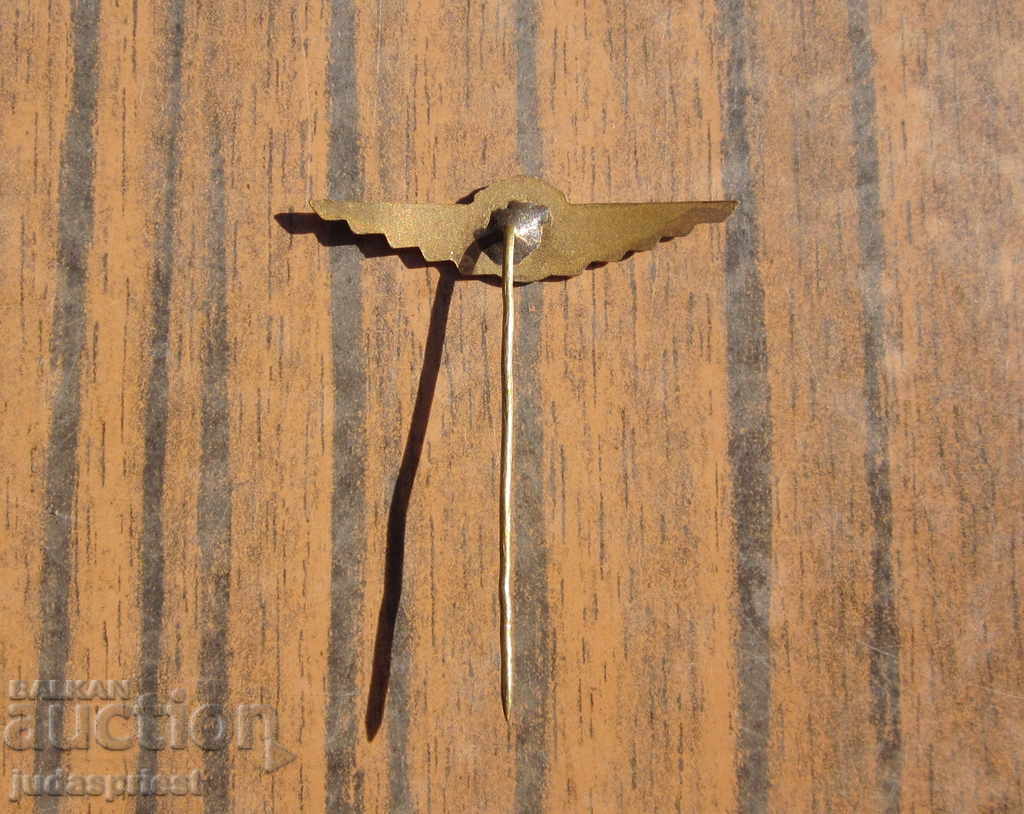 Delivery of Bulgarian sign badge public transport Sofia