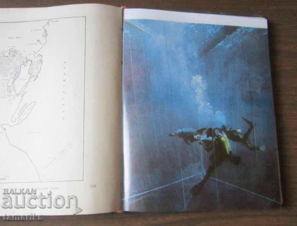 Delivery of THE DOLPHINS- JACQUES YVES COUSTO PHILIP DIOLE 1980 Delivery of THE DOLPHINS- JACQUES YVES COUSTO PHILIP DIOLE 1980