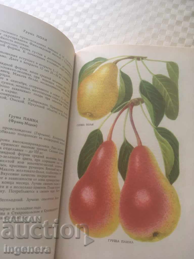 Licitație CARTE-CELE MAI BUNE CULTURI DE FRUCTE, CĂPȘUNI ȘI VIȚĂ DE VIE-RUSĂ-1965