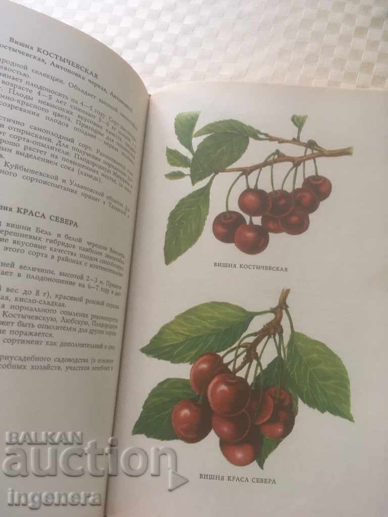 BOOK-THE BEST FRUITFUL BERRIES AND VINE CULTURES-RUSSIAN-1965 - 5 BOOK-THE BEST FRUITFUL BERRIES AND VINE CULTURES-RUSSIAN-1965 - 5