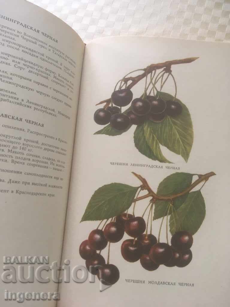 BOOK-THE BEST FRUITFUL BERRIES AND VINE CULTURES-RUSSIAN-1965 - 6 BOOK-THE BEST FRUITFUL BERRIES AND VINE CULTURES-RUSSIAN-1965 - 6