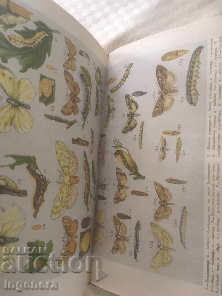 BOOK-THE BEST FRUITFUL BERRIES AND VINE CULTURES-RUSSIAN-1965 - 7 BOOK-THE BEST FRUITFUL BERRIES AND VINE CULTURES-RUSSIAN-1965 - 7