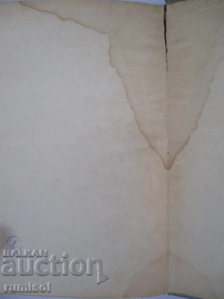 The princes - Doncho Tsonchev - 5 The princes - Doncho Tsonchev - 5