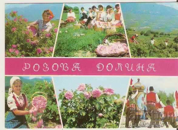 Card Bulgaria Rose Valley *