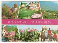 Картичка  България  Розовата долина*
