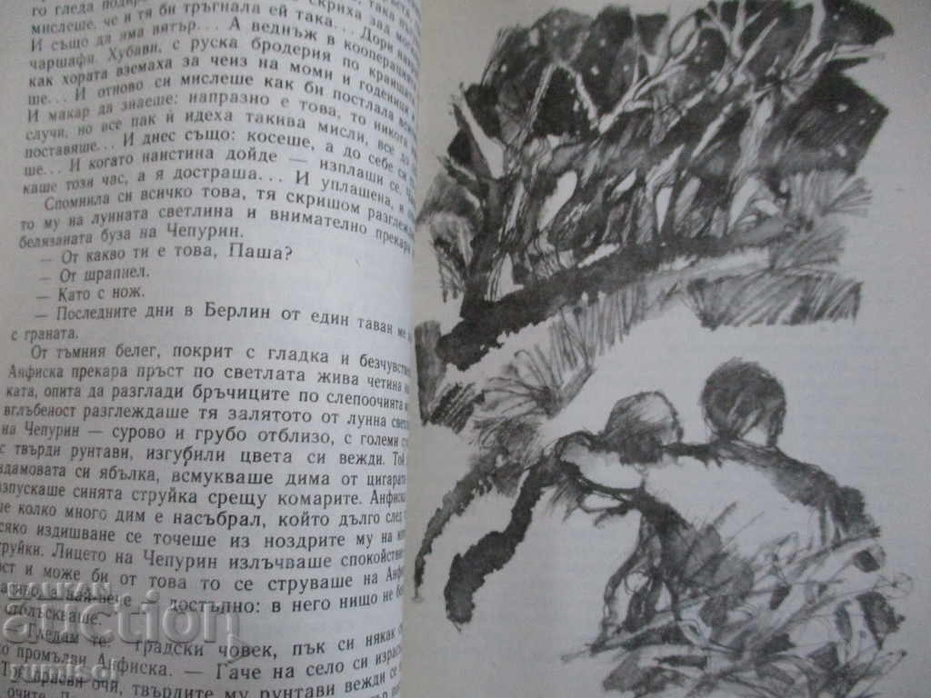 Delivery of Where the sun wakes up - Evgeniy Nosov