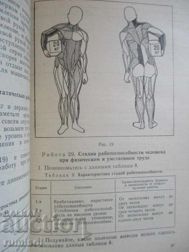 Auction Independent work of students on anatomy, physiology, hygiene Auction Independent work of students on anatomy, physiology, hygiene