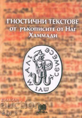 Gnostic texts from the manuscripts of Nag Hammadi