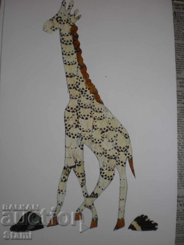 Giraffe-series paintings made of butterfly wings-14-23 with price 34.90 BGN | € 17.84 Giraffe-series paintings made of butterfly wings-14-23 with price 34.90 BGN | € 17.84