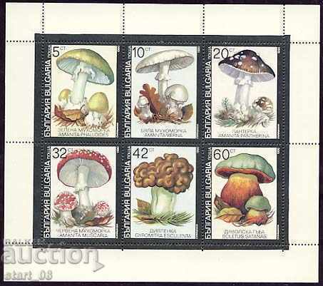 3901-3906-Poisonous mushrooms.