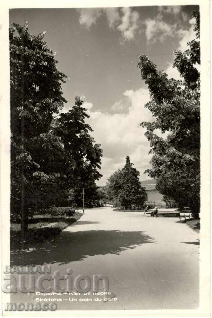 Old card - Strelcha, Park from the park