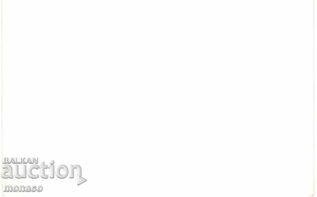 Old postcard - Strelcha, Holiday resort of TPK with price 2.00 BGN | € 1.02