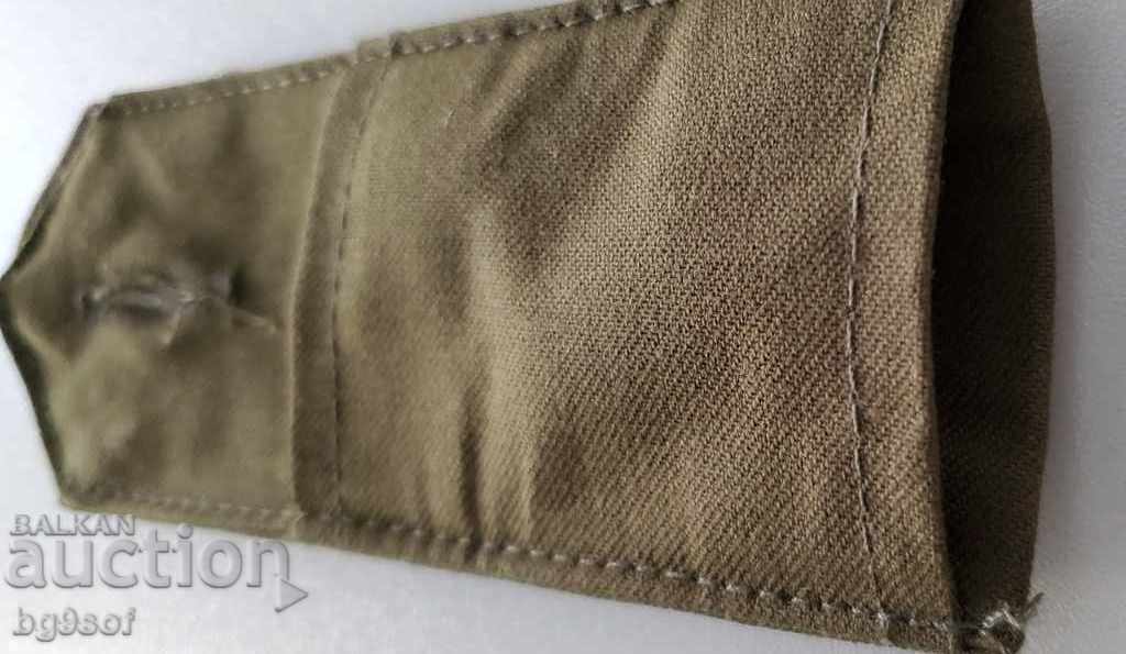 Delivery of TUNNEL shoots Delivery of TUNNEL shoots